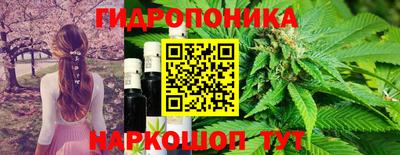 гашишное масло Гусь-Хрустальный