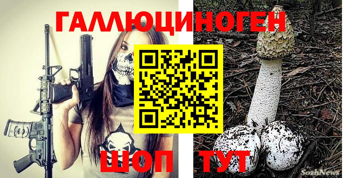 Междуреченск  Галлюциногенные грибы MAGIC MUSHROOMS  Вход с VPN  Псилоцибиновые грибы Psilocybe 